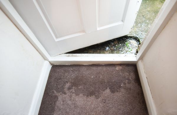 Wet Carpet Restoration in Keller