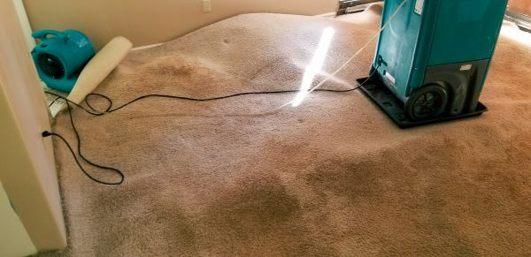 Carpet Water Extraction in Keller